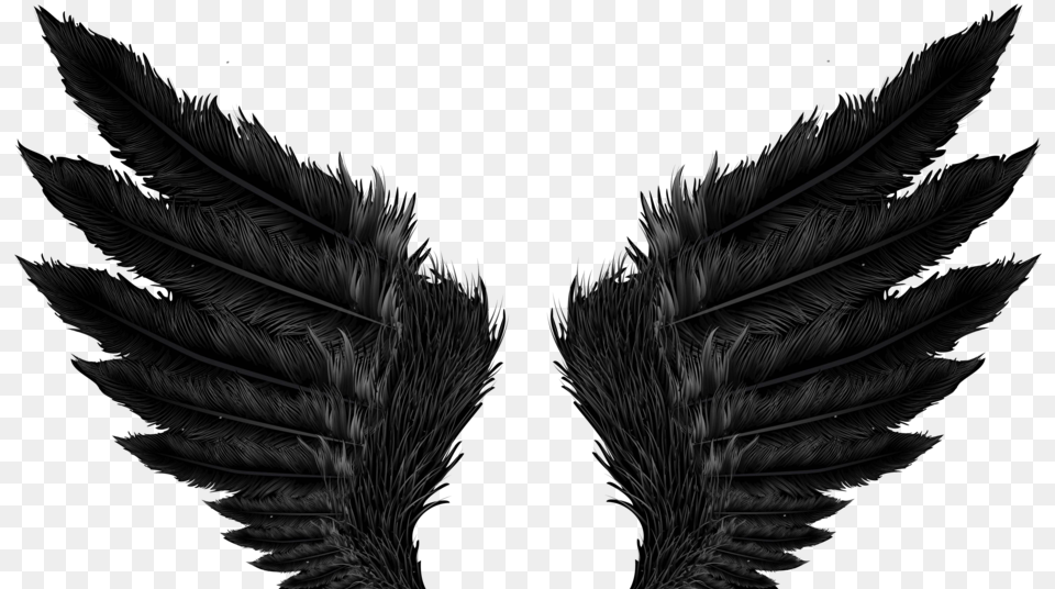 Image Angel Wings Black, Plant, Accessories, Silhouette Free Png Download