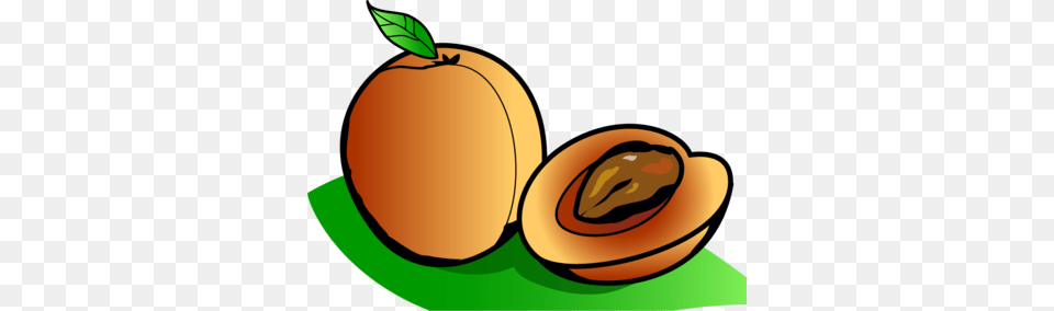 Image Apricot Food Clip Art, Fruit, Plant, Produce Free Png Download