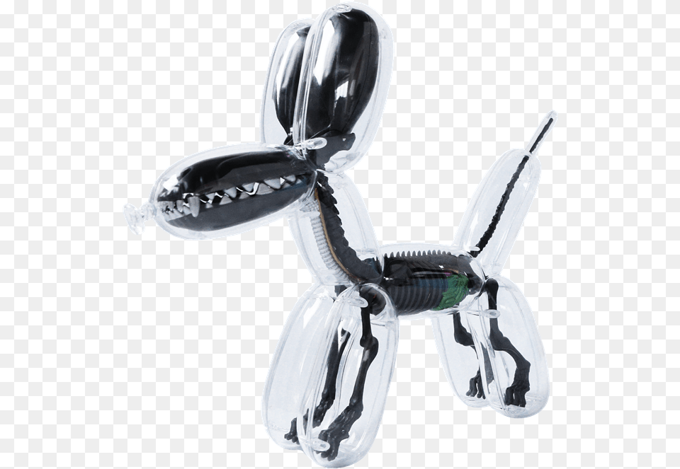 Image Balloon Dog Anatomy By Jason Freeny Free Png