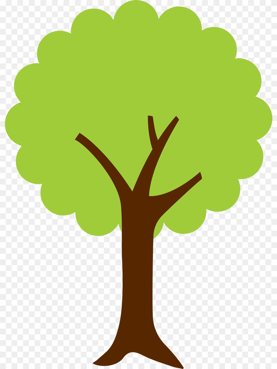 Black Circle, Plant, Tree, Tree Trunk Png Image