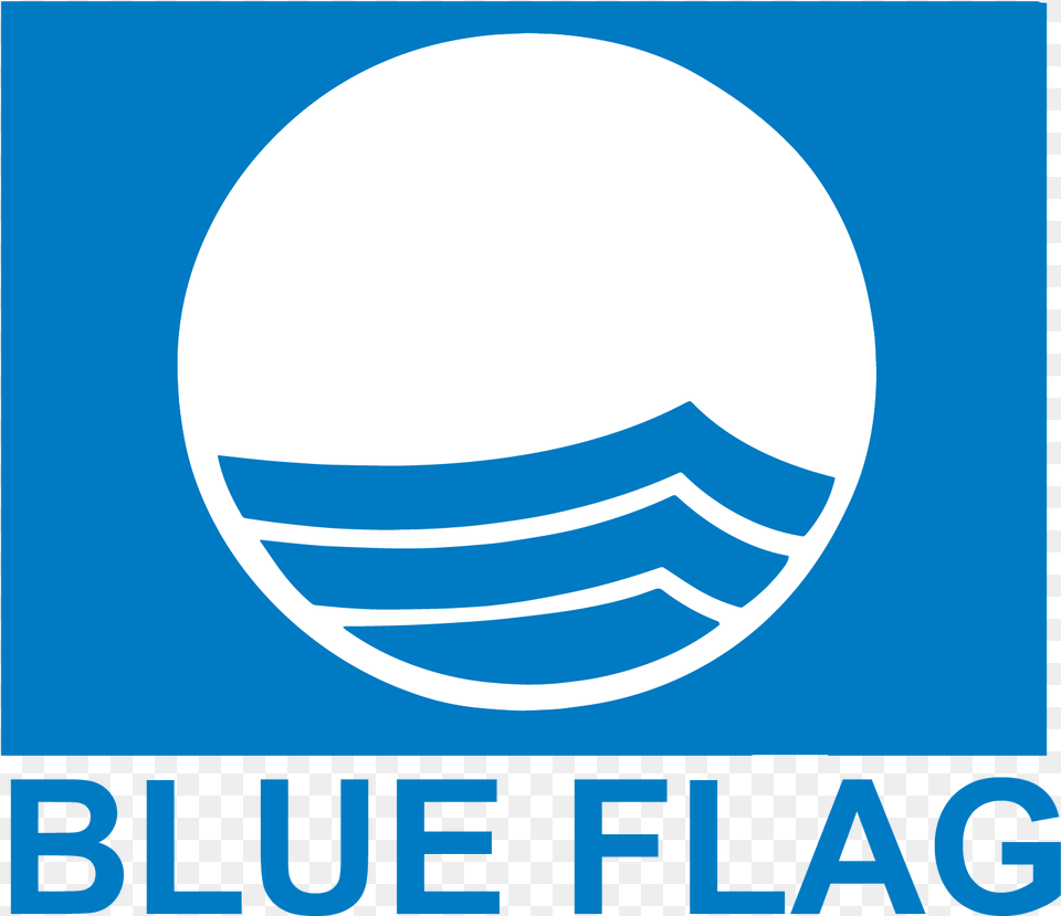 Image Blue Flag Logo Png