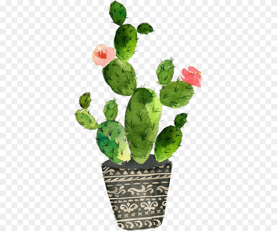 Image Cactus Watercolor Clip Art, Plant, Potted Plant, Flower Free Transparent Png