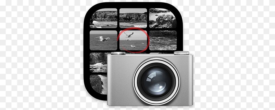 Capture User Guide For Mac Apple Support Big Sur Capture, Electronics, Animal, Bird, Camera Png Image