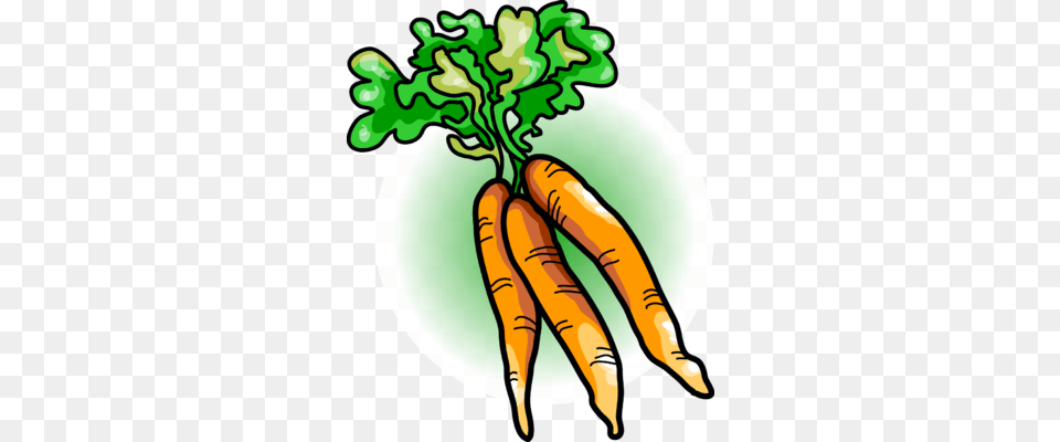 Carrots Food Clip Art, Carrot, Plant, Produce, Vegetable Png Image