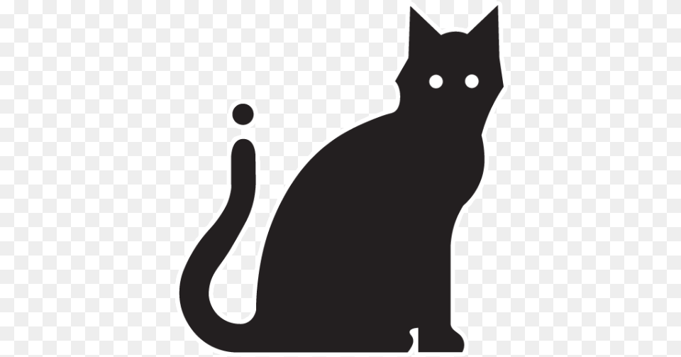 Image Cat, Animal, Mammal, Pet, Black Cat Free Png Download