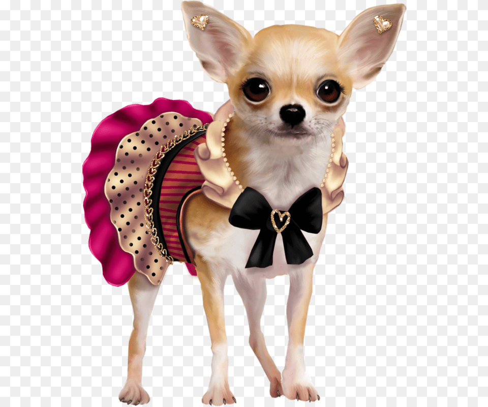 Image Chichuachua Decoupage, Animal, Canine, Chihuahua, Dog Free Png