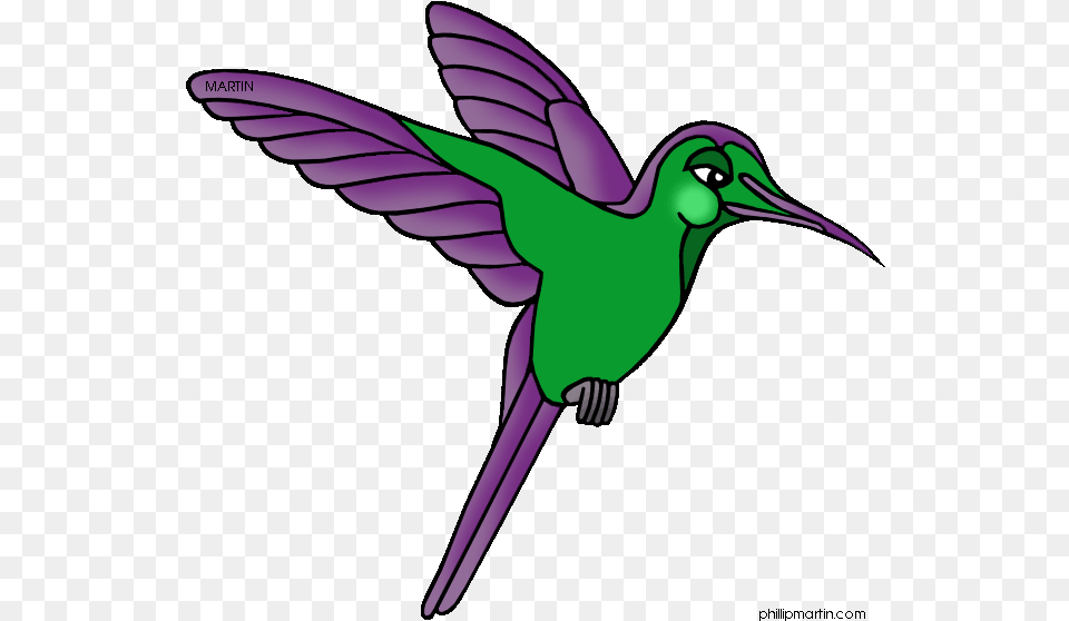 Image Clipart Animals At Rainforest Clipart, Animal, Bird, Hummingbird, Person Free Png Download
