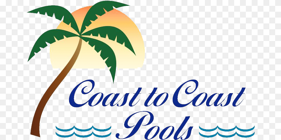 Image Coast To Coast Pools, Leaf, Plant, Tree, Palm Tree Free Transparent Png