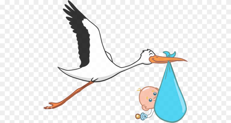 Image Collection Stork With Baby, Clothing, Hat, Animal, Bird Free Transparent Png