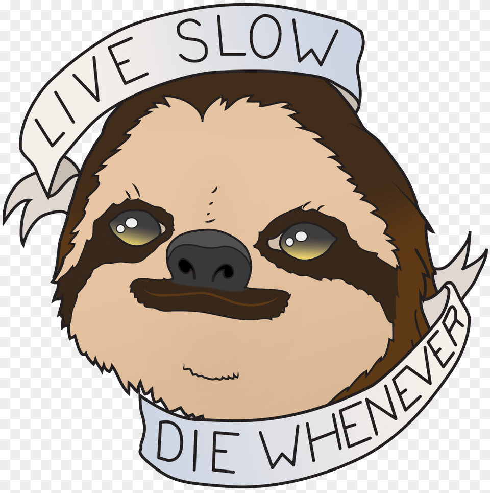 Image Cool Sloth, Baby, Person, Face, Head Png