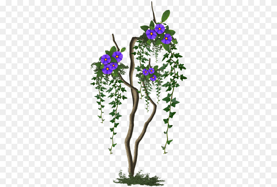 Image Cropped Tree With Flowers Tree Flowers Lilac Rosa Glauca, Flower Arrangement, Plant, Flower, Anemone Free Png