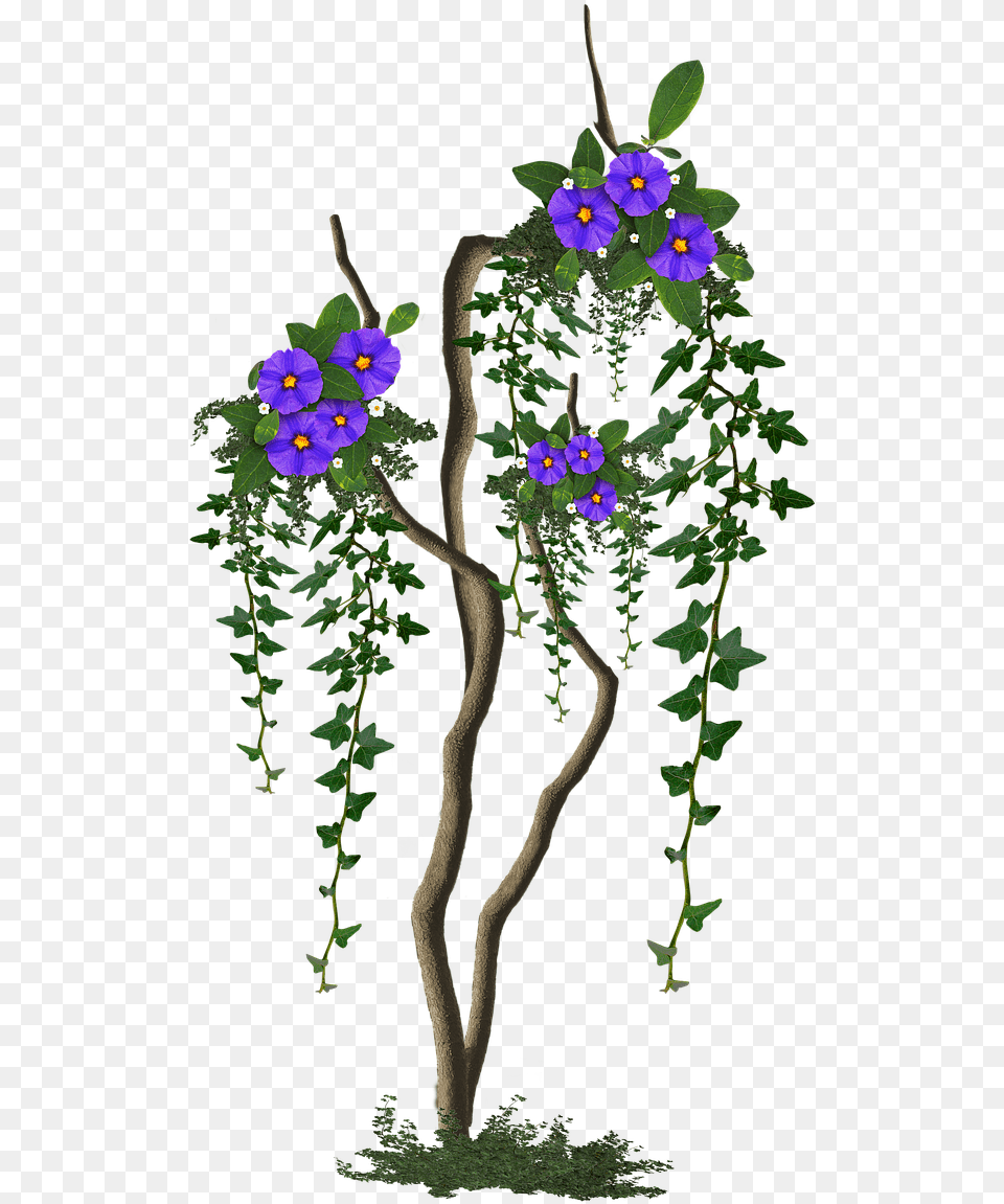 Image Cropped Tree With Flowers Tree Rosa Glauca, Acanthaceae, Flower, Geranium, Plant Free Png