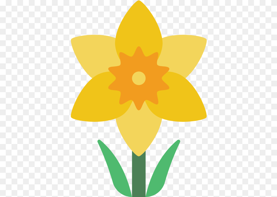Daffodil Flat Icon, Flower, Plant, Person Png Image