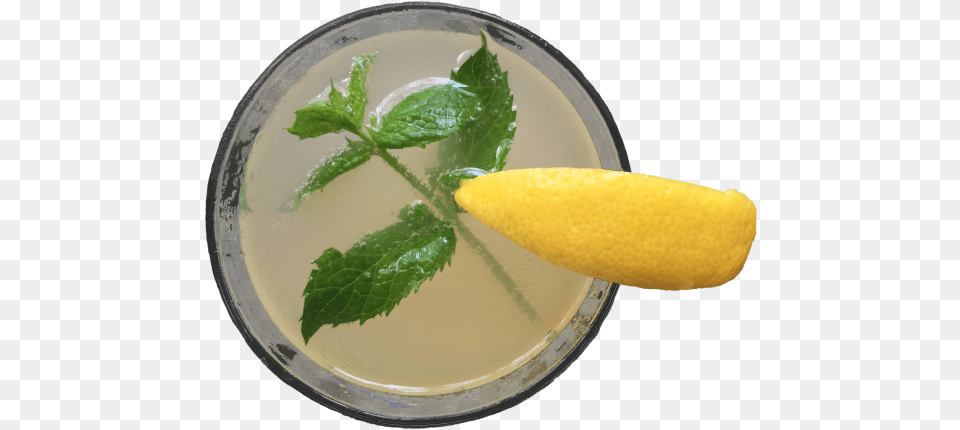 Daiquiri, Beverage, Plant, Herbs, Lemonade Png Image