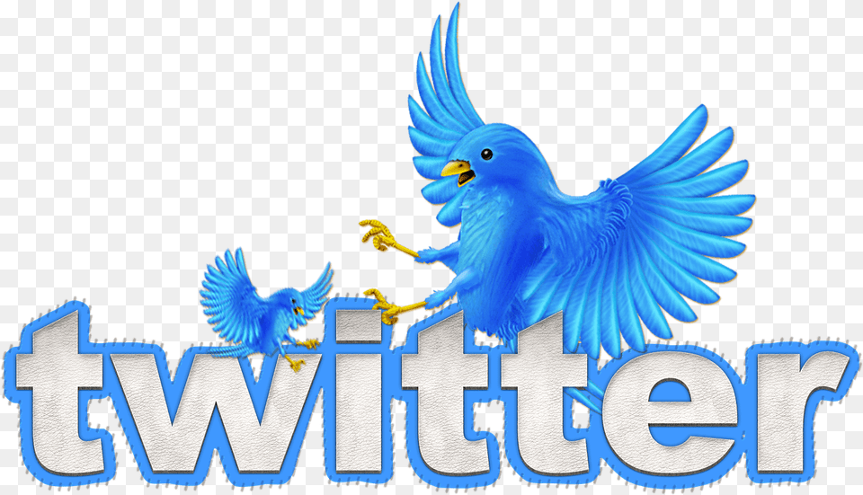 Image Default Animated Twitter Bird, Animal, Parrot Free Png