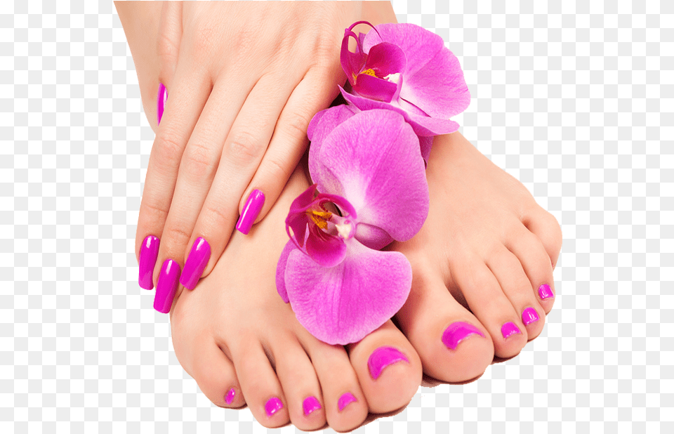 Image Description Hand And Foot Beauty, Body Part, Person, Nail, Flower Free Transparent Png