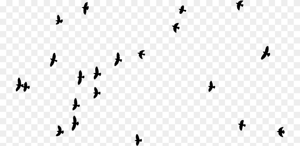 Image Dessiner De Petits Oiseaux, Lighting, Silhouette, Nature, Night Free Png Download