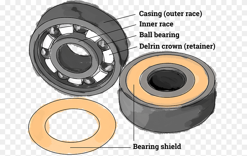 Image Displays Parts Of A Skateboard Bearing Consisting Opportunities For Learning, Wheel, Machine, Spoke, Vehicle Free Png Download