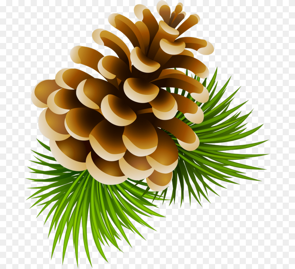 Image Download Clipart Pinecone Transparent Cartoon Pine Cone, Conifer, Larch, Plant, Tree Png