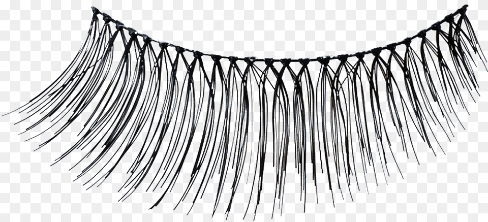 Image Download Eyelash Fake Eyelashes Accessories, Chandelier, Jewelry, Lamp Free Transparent Png