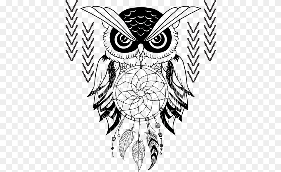 Image Download Owl Drawing At Getdrawings Owl Dream Catcher, Baby, Logo, Person, Art Free Transparent Png
