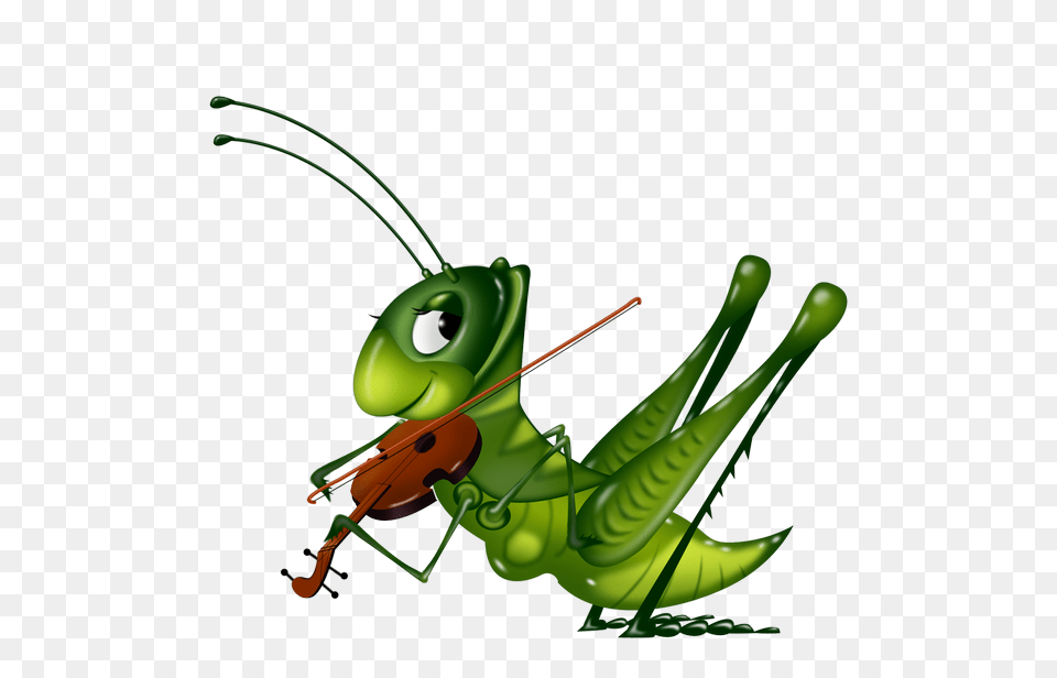 Image Du Blog, Animal, Grasshopper, Insect, Invertebrate Free Transparent Png