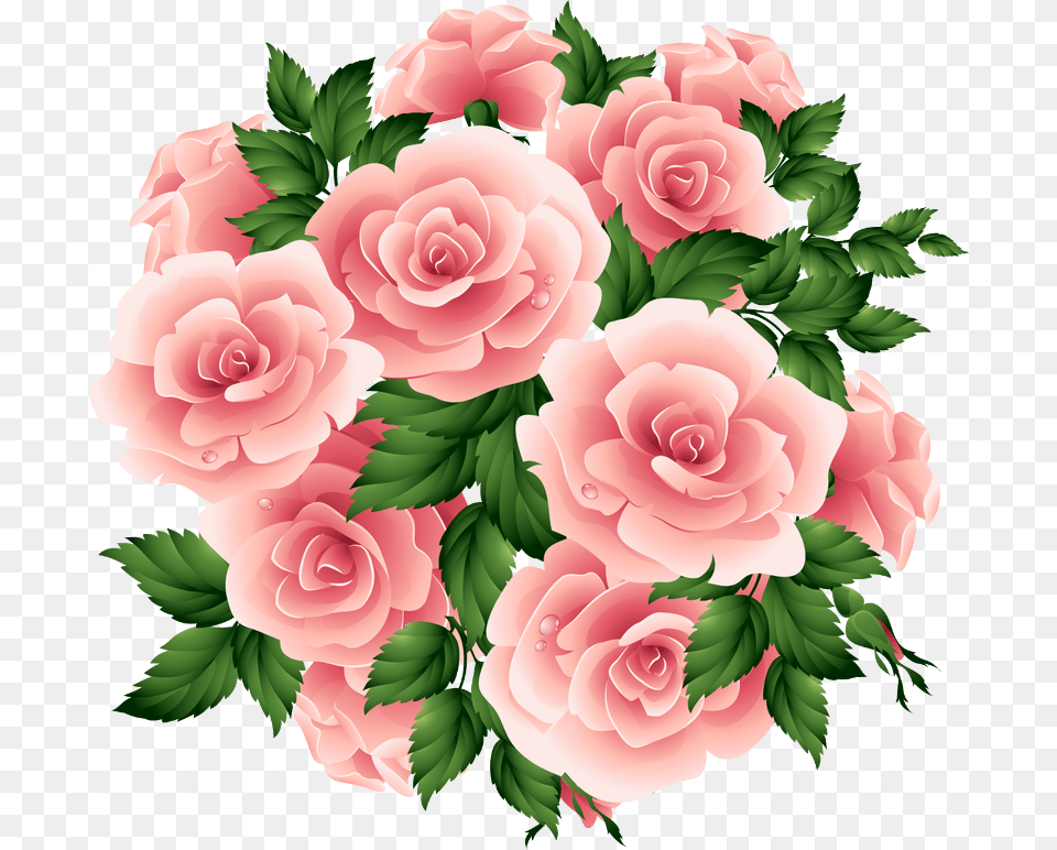 Image Du Blog Loveferrari Imgenes De Flores Rosas, Flower, Pattern, Plant, Rose Free Transparent Png