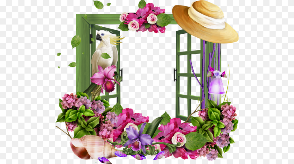 Image Du Blog Zezete2 Facebook Cover Flower Frame, Plant, Flower Bouquet, Flower Arrangement, Clothing Free Transparent Png