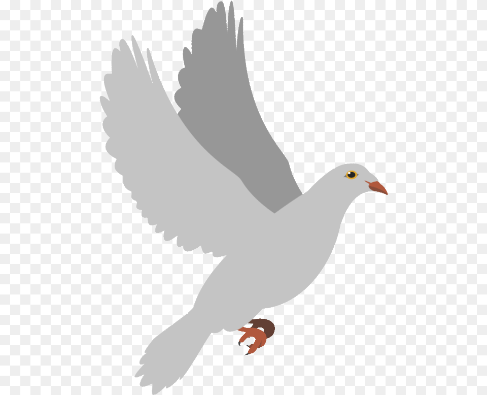Dumbledore S Army Peace Dove Flying Gif, Animal, Bird, Pigeon Png Image
