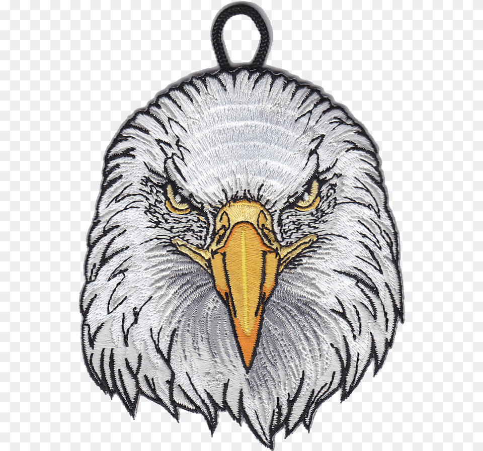 Image Eagle, Animal, Beak, Bird, Accessories Free Transparent Png