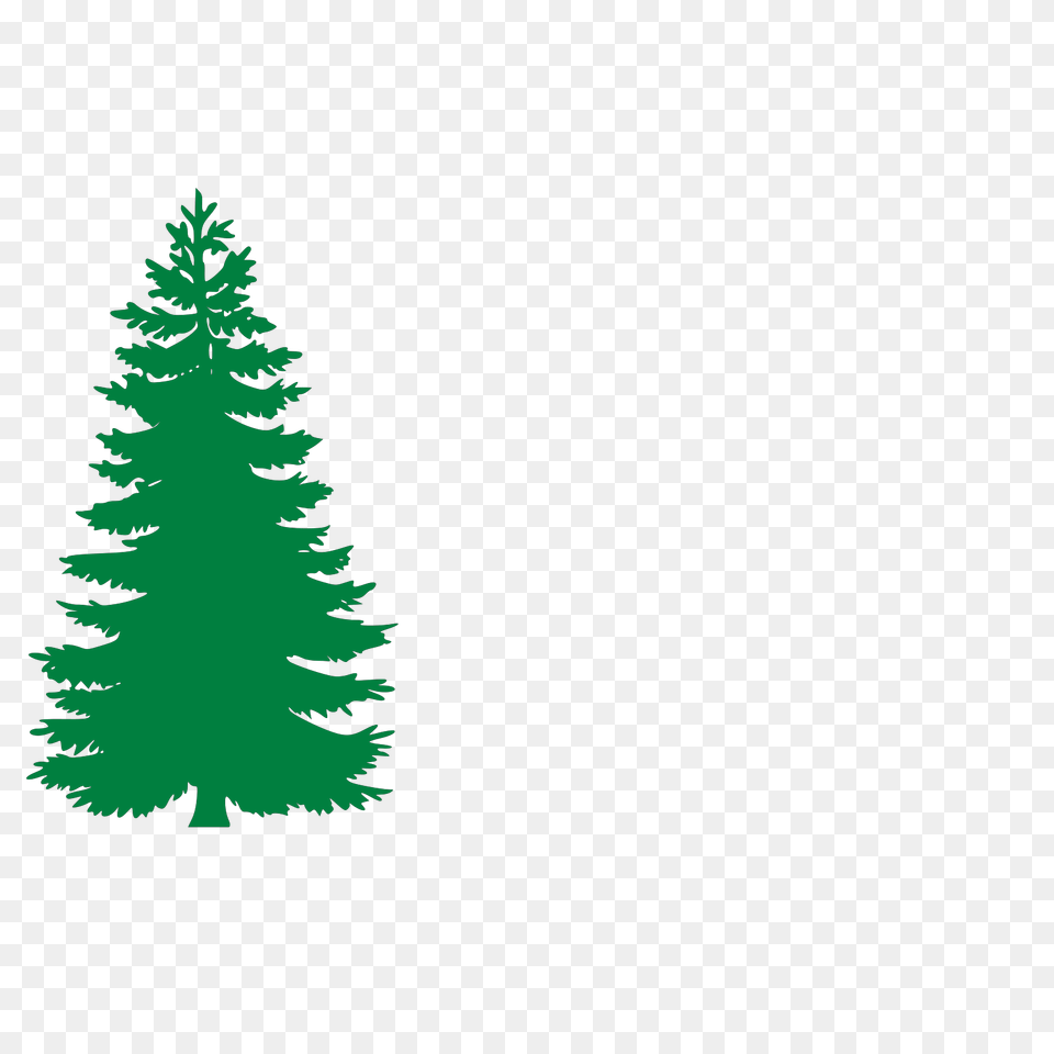 Image Fir Evergreen Trees Silhouette Vector Pine Tree Silhouette, Plant, Conifer Free Transparent Png