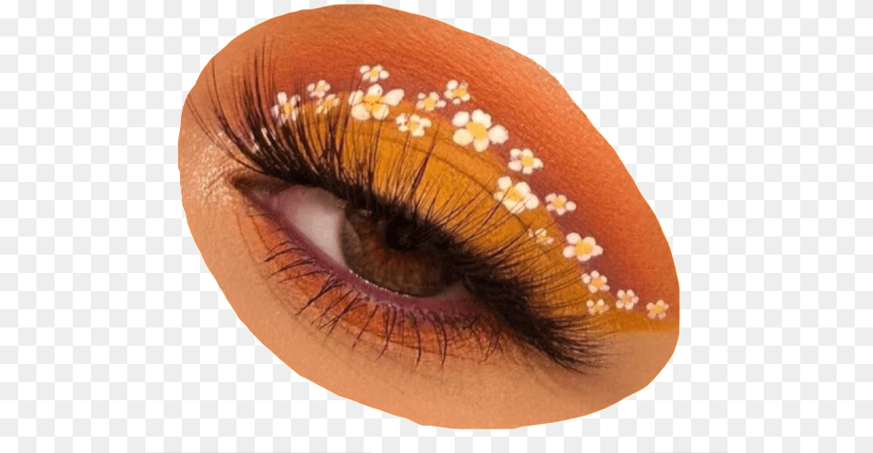 Image Flower Eye Makeup, Adult, Female, Person, Woman Free Transparent Png