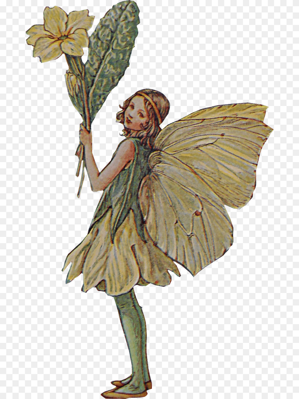 Flower Fairy, Adult, Female, Person, Woman Png Image