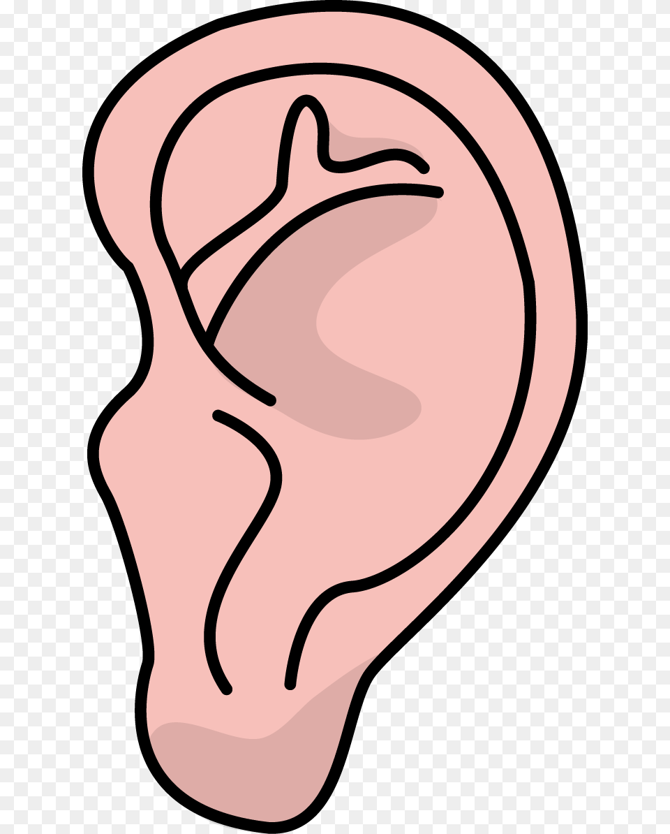 Image For Ear Health High Resolution Clip Art Health Clip, Body Part, Smoke Pipe Free Png Download