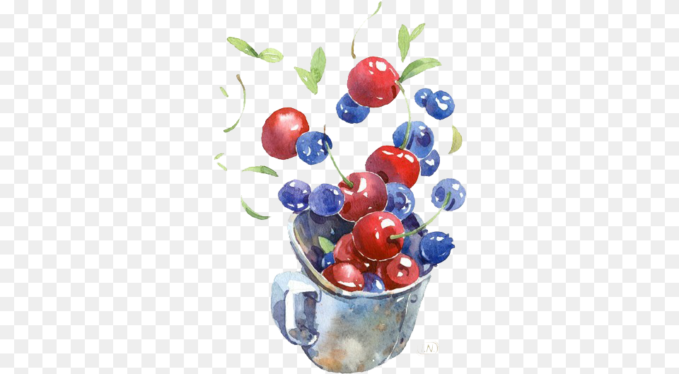Image Freeuse Download Berry Drawing Watercolor Chernika Ili Vishnya, Food, Fruit, Plant, Produce Free Transparent Png