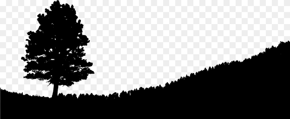 Image Freeuse Library Hill Silhouette At Getdrawings Night Sky Desktop Background, Fir, Plant, Tree, Pine Free Transparent Png