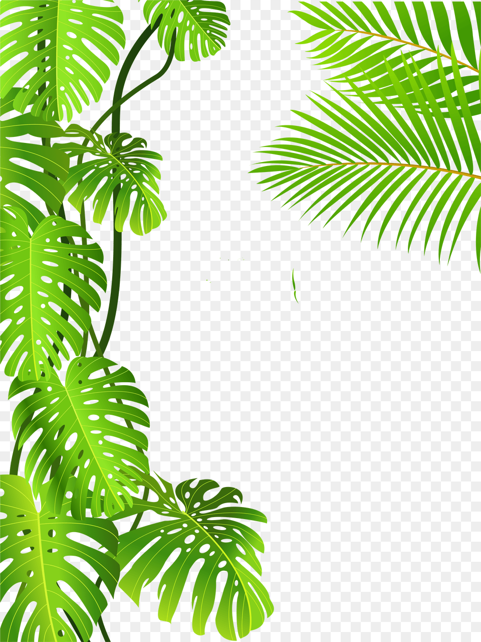 Image Freeuse Royalty Clip Art Forest Royaltyfree Tropical Rainforest Tropical Leaves, Vegetation, Tree, Plant, Outdoors Free Png