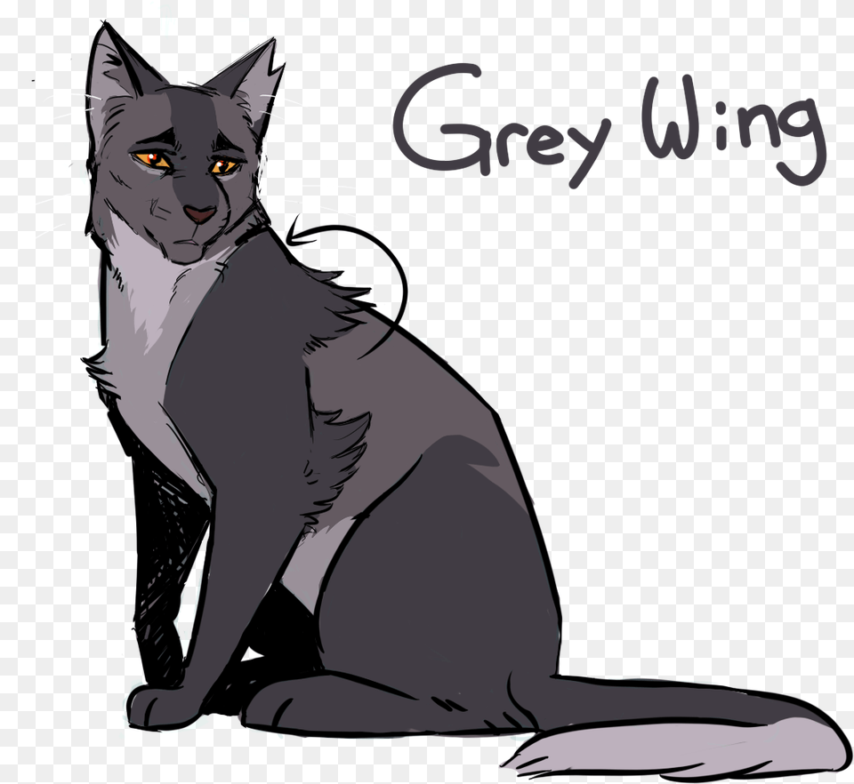 Image Gray Wing Warriors, Animal, Cat, Mammal, Pet Free Transparent Png