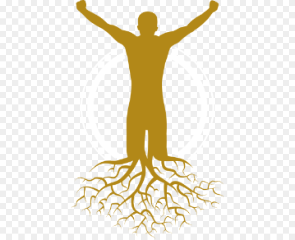 Image High Resolution Background Tree With Roots, Plant, Root, Person Free Png Download