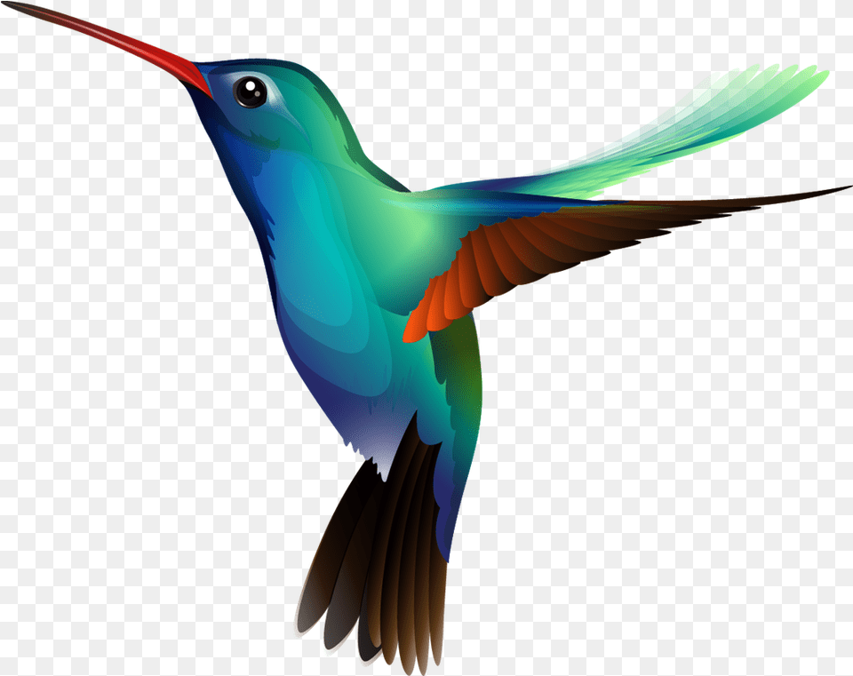 Image Hover Stack For Rapidweaver Bee Hummingbird, Animal, Bird Free Png