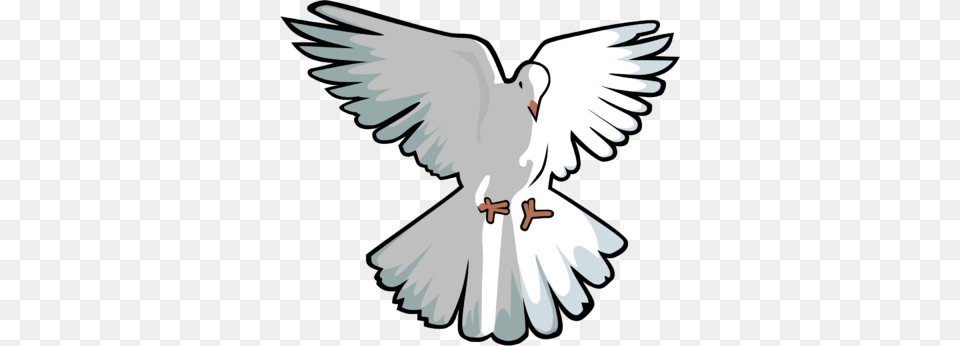Hovering Dove Clip Art, Animal, Bird, Pigeon, Person Png Image