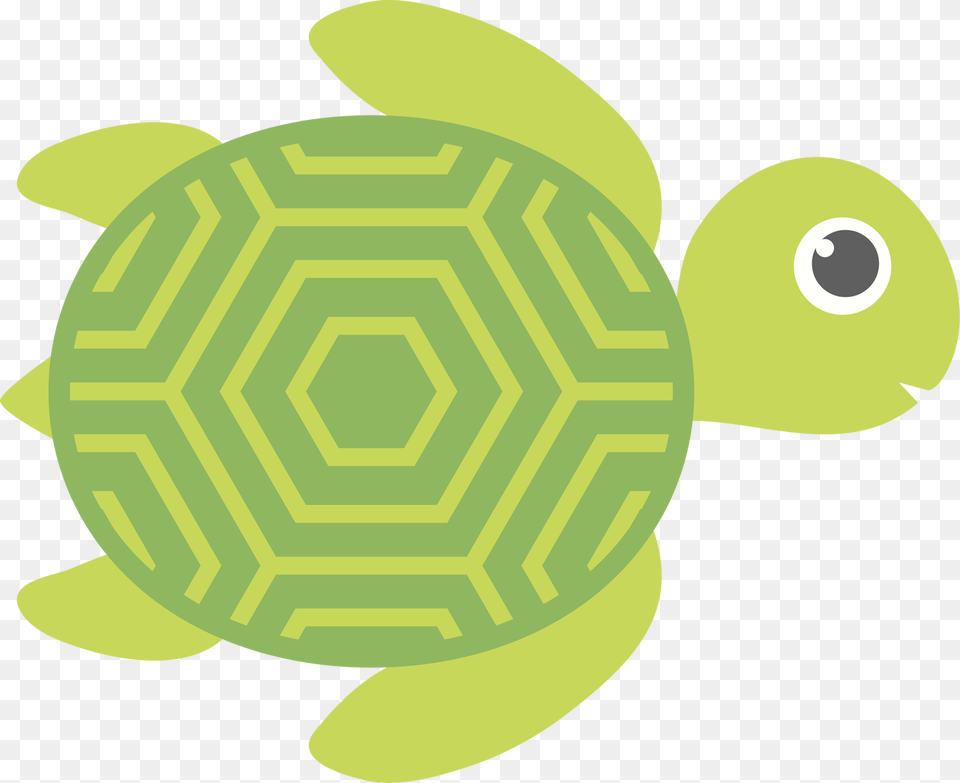 Image Icon, Animal, Reptile, Sea Life, Tortoise Free Png