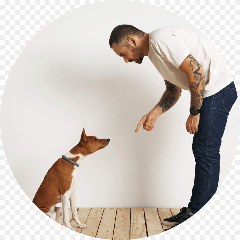 Image Icon Bull Terrier, Clothing, Tattoo, Skin, Photography Free Transparent Png