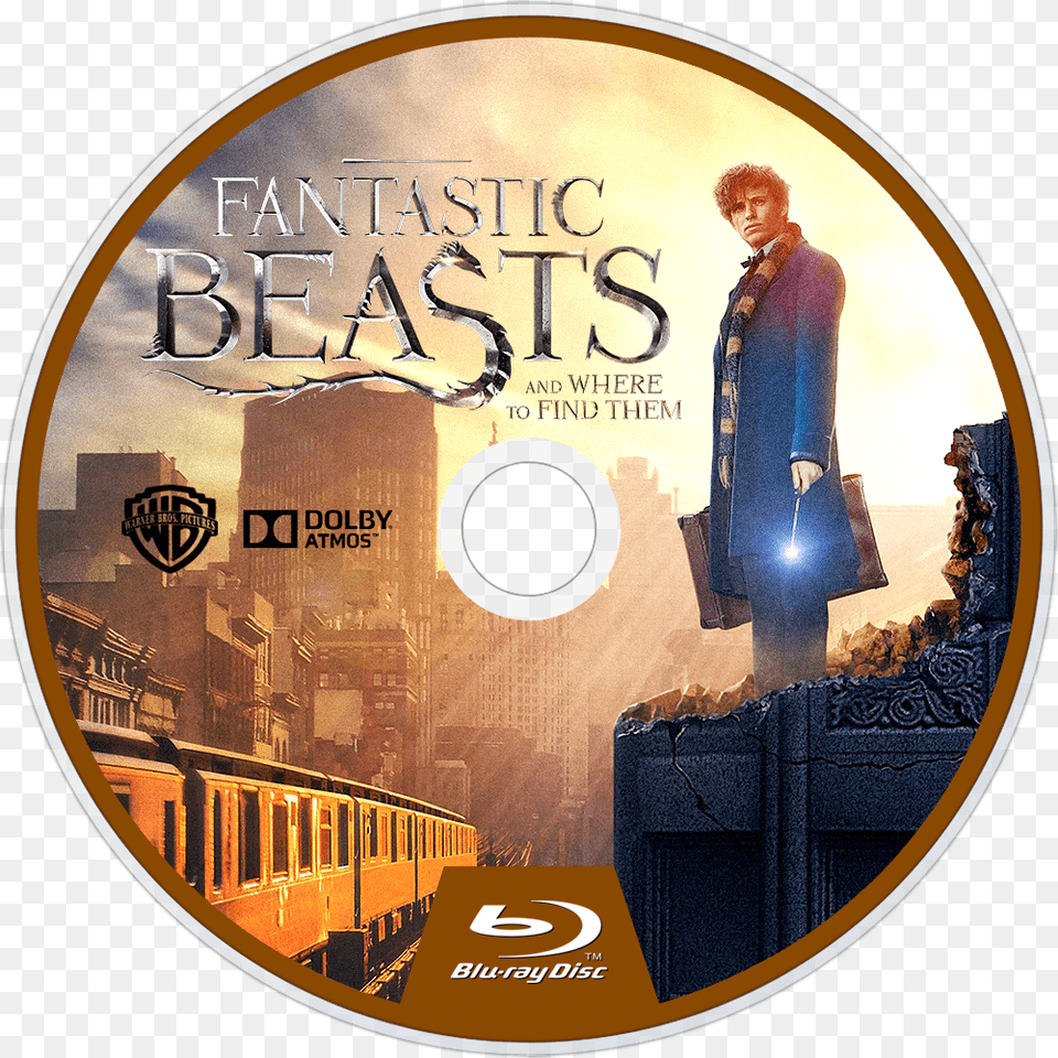 Image Id Fantastic Beast And Where To Find Them Bluray Disc, Disk, Dvd, Adult, Person Png