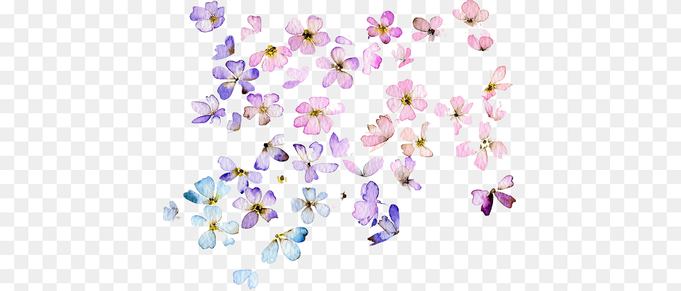 Image Iphone Wallpaper Small Flowers, Flower, Geranium, Petal, Plant Png