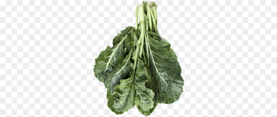 Image Is Not Available, Food, Plant, Produce, Leafy Green Vegetable Free Png