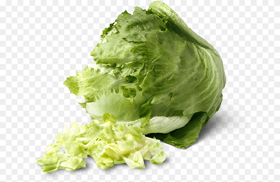 Image Is Not Available Iceburg Lettuce, Food, Plant, Produce, Vegetable Png