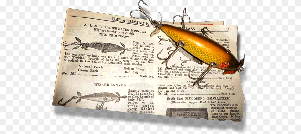 Image Layer Image Layer Longhorn Beetle, Fishing Lure, Text Free Png