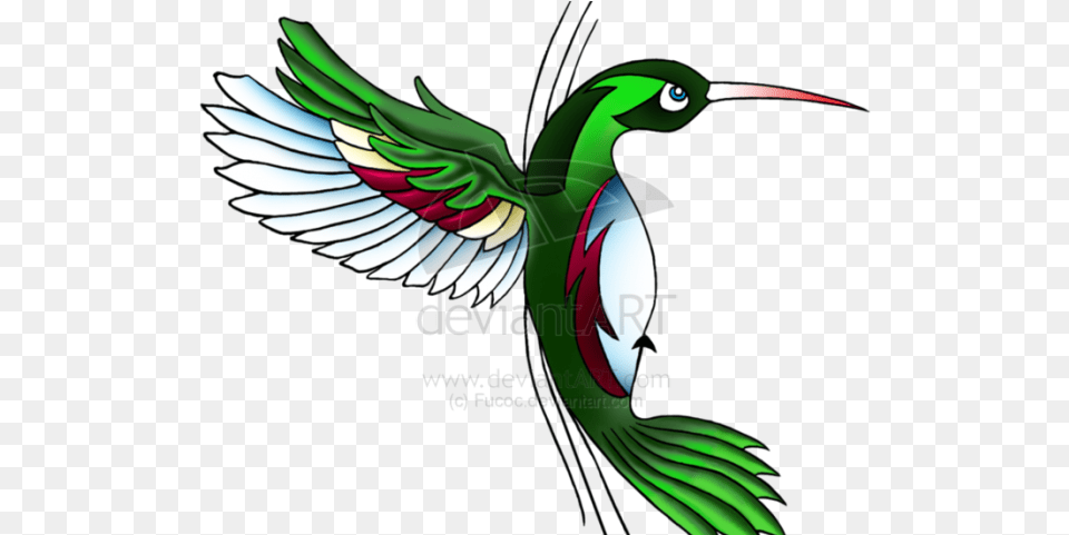 Image Library Download Hummingbird Clipart Flash Art Hummingbird Tattoo Designs, Animal, Bird Png