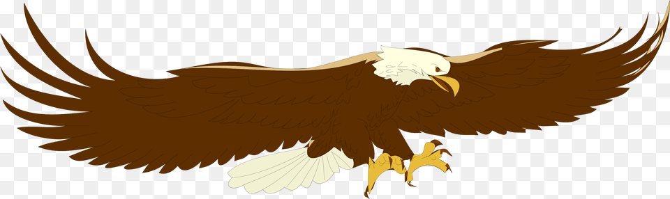 Library Library Bald Clipart Free Clipartix Flying Eagle Clip Art, Animal, Bird, Bald Eagle Png Image